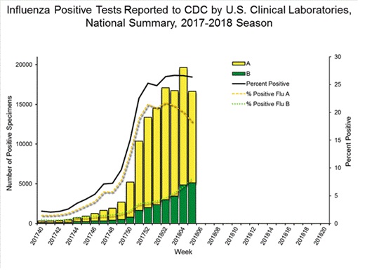 Graph of influenza positive tests reported to CDC